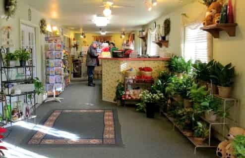 Jasmine Flowers & Gifts, a florist located in Colorado Springs